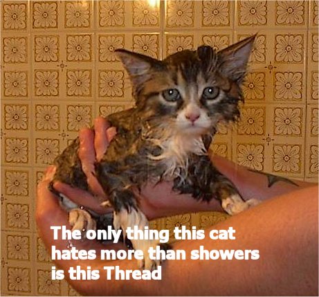 hatecat.jpg